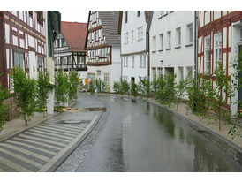 Altar- und Straßenschmuck zu Fonleichnam (Foto: Karl-Franz Thiede)